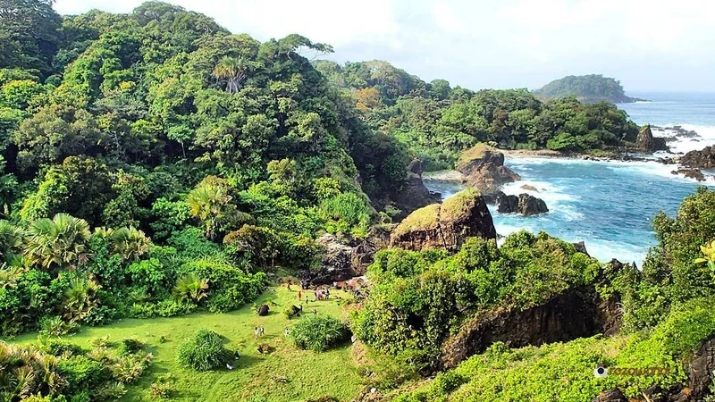 Taman Nasional Ujung Kulon: Habitat Badak Jawa UNESCO