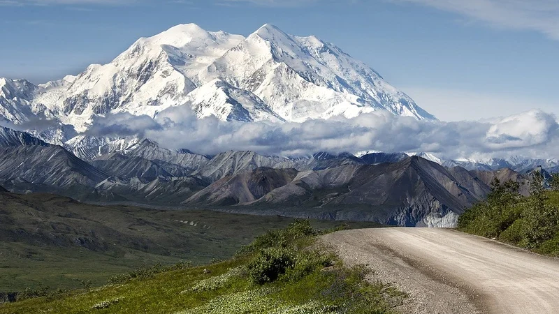 Taman Nasional Denali: Tempat Wisata dengan Satwa Berbahaya