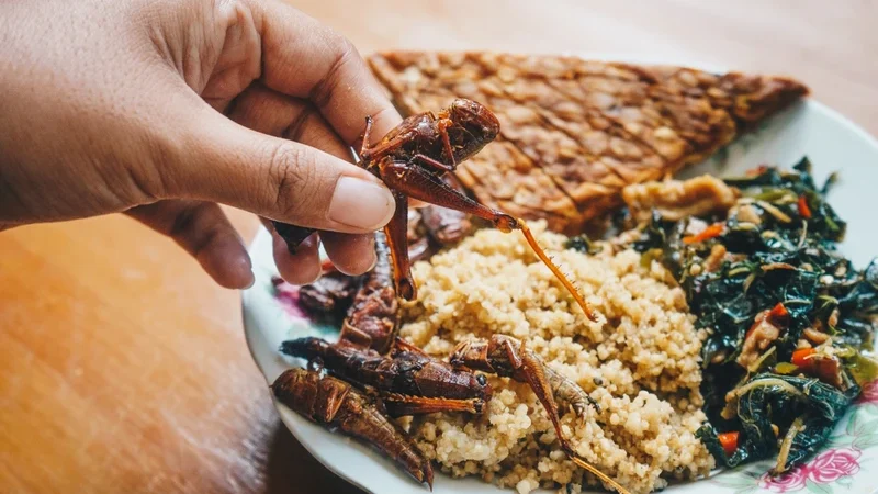 Tiwul dan Ulat Jati Jateng: Ulasan Jujur Cita Rasa Tradisional yang Tak Terlupakan